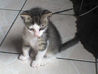 luna prend la pose